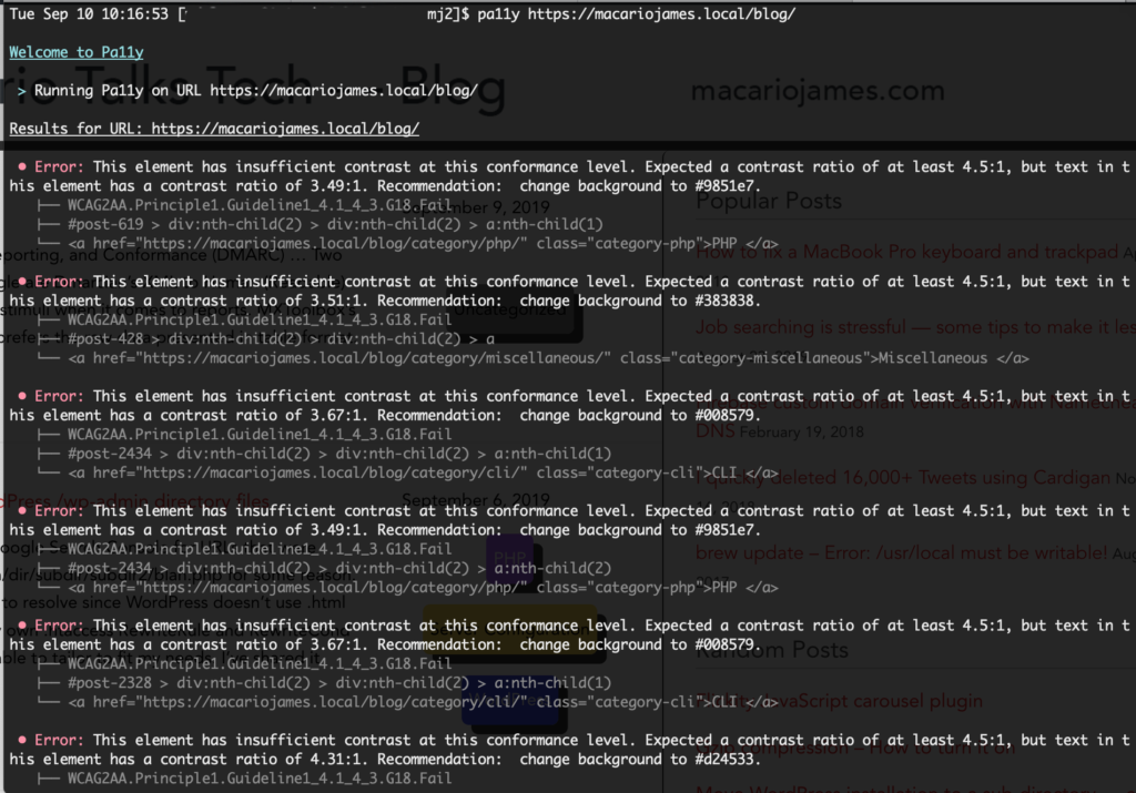 Pa11y errors list screenshot
