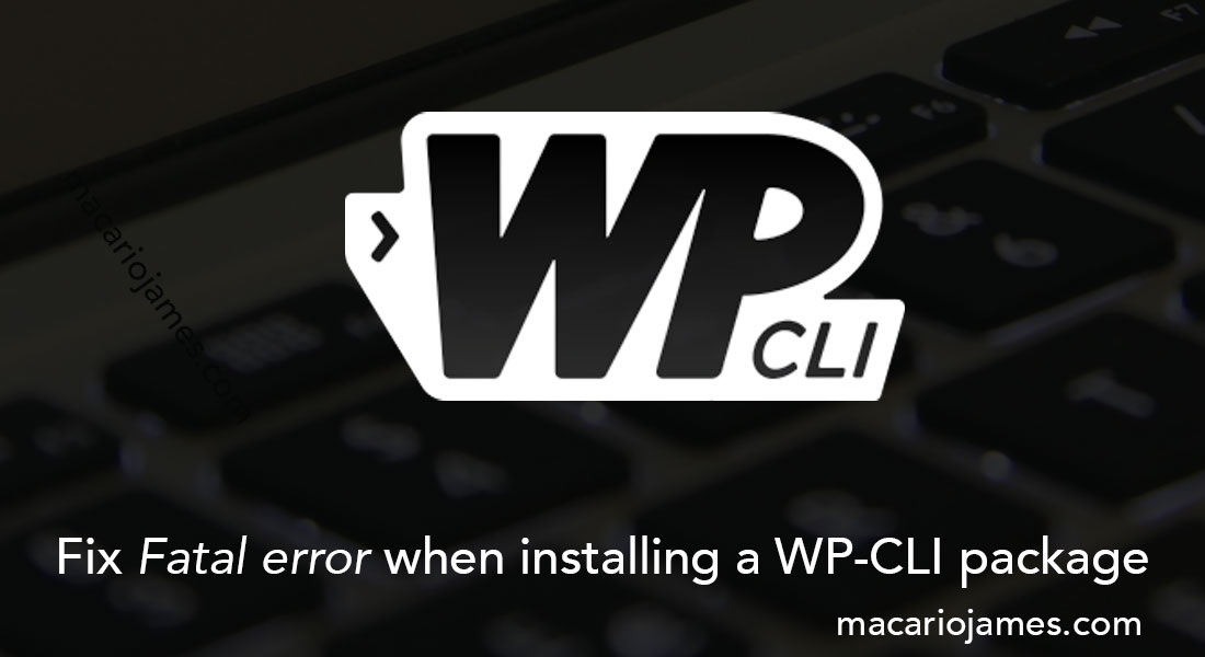 Fix Fatal error when installing a wp-cli package
